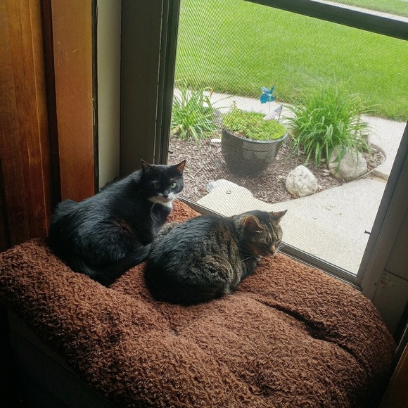 Meet your Posher, Stase - Picture 2 of 3